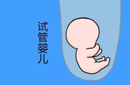 苏主任